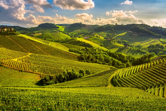 Corso Sommelier lezione 02_02_piemonte AIS Piemonte