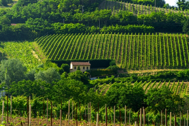 Corso Sommelier lezione 02_03_lombardia AIS Piemonte