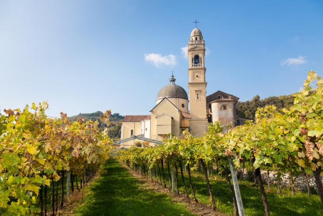 Corso Sommelier lezione 02_04_veneto AIS Piemonte