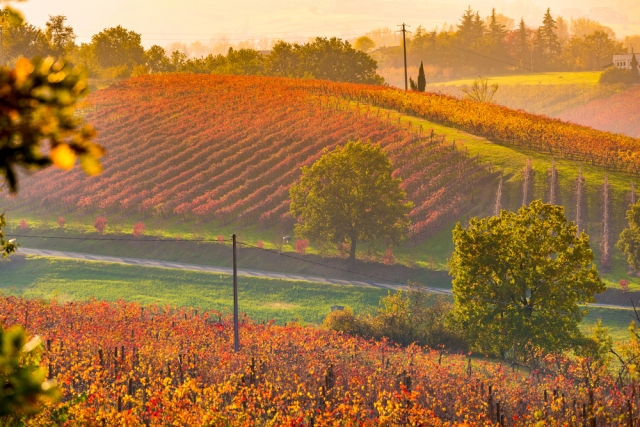 Corso Sommelier lezione 02_06_emilia-romagna AIS Piemonte