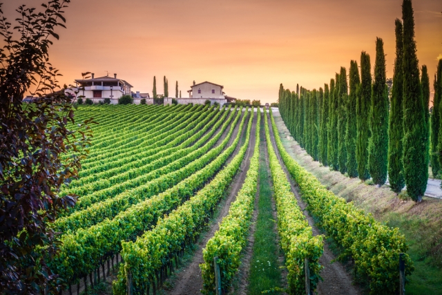 Corso Sommelier lezione 02_07_umbria AIS Piemonte