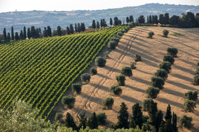 Corso Sommelier lezione 02_08_abruzzo AIS Piemonte