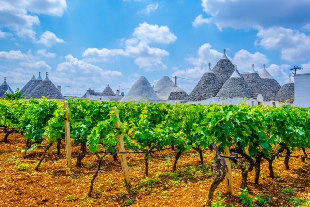Corso Sommelier lezione 02_09_puglia AIS Piemonte