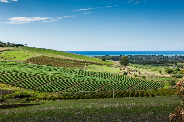 Corso Sommelier lezione 02_10_sicilia AIS Piemonte