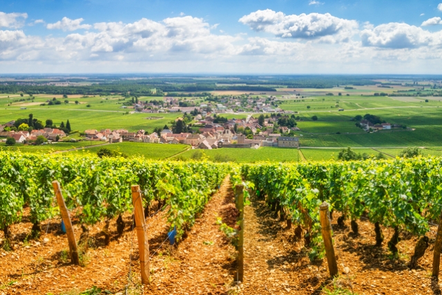 Corso Sommelier lezione 02_13_francia-seconda-parte AIS Piemonte