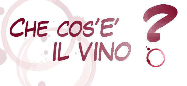Concorso fotografico 2013: cos'è il vino?