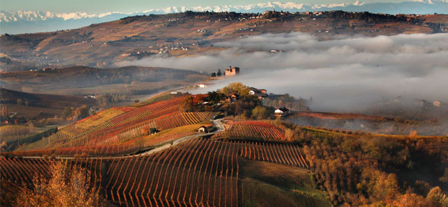 Report: Castiglione Faletto - Terre del Barolo