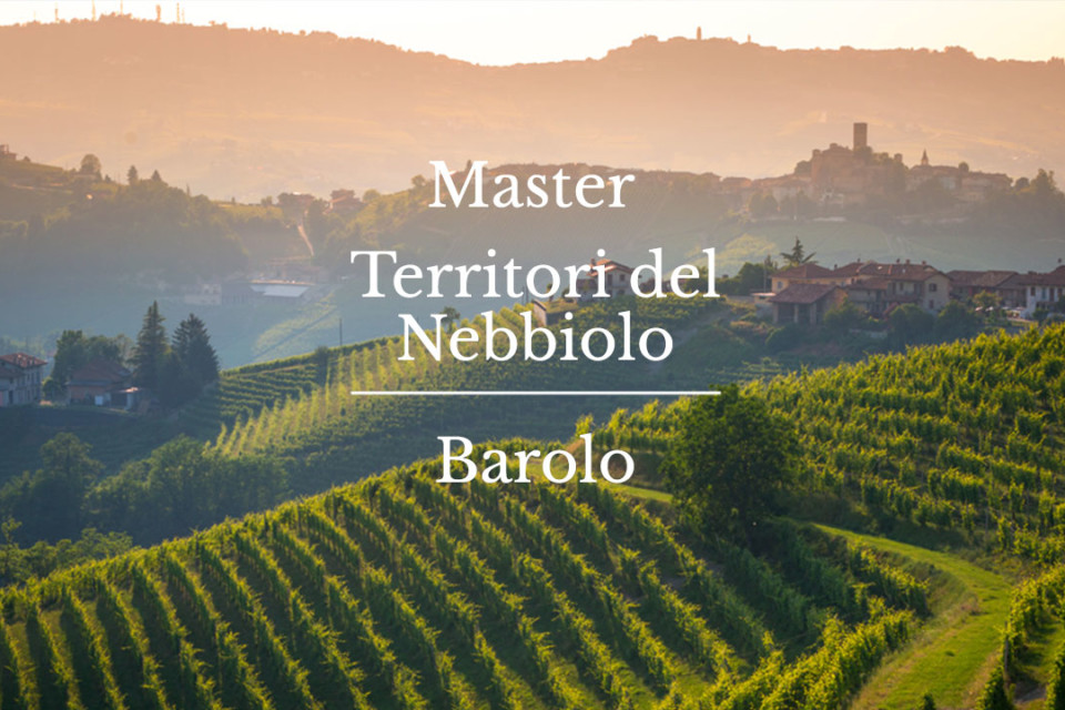 master-Barolo_3