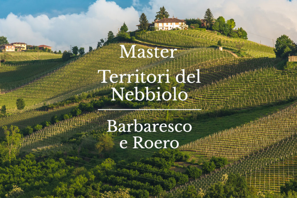 master Nebbiolo_3