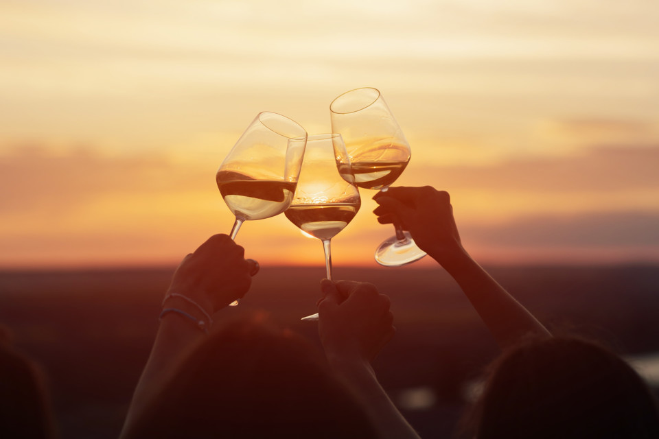 A,Group,Of,Girlfriends,Raise,A,Toast,With,Glasses,Of