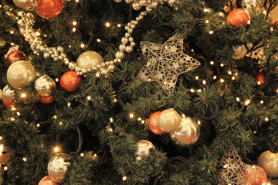 christmas-tree-3926970_1280