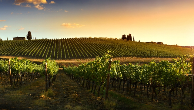 Corso Sommelier lezione 01-02_viticoltura AIS Piemonte