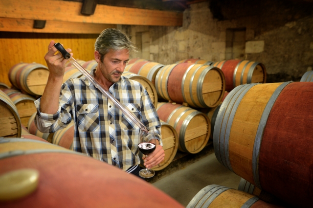 Corso Sommelier lezione 01-03_enologia-prod-vino AIS Piemonte