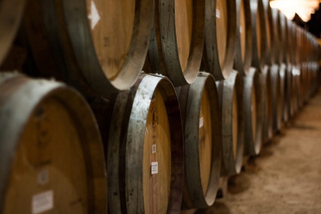 Corso Sommelier lezione 01-14_azienda-vinicola AIS Piemonte
